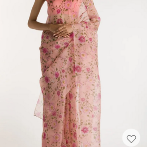 The Story of Dahlia & Sparrows-Peach Pure Organza Silk Saree